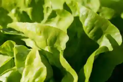 대학원 졸업 후 타대학 R&D 연구실 취업을 위한 전략 살펴보기
