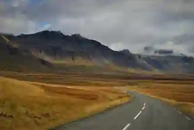 소비쿠폰 사용처 쉽게 확인하는 방법 알아보자