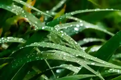 해고통지서 전달 의무 살펴보기