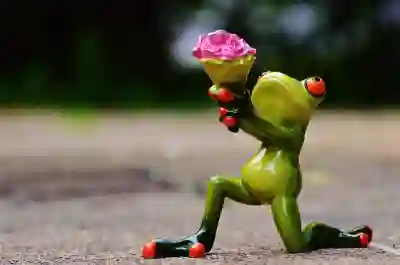 신용카드 과소비의 원인 살펴보기