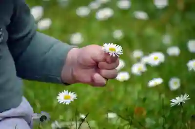 ISA 계좌 만기 최대 연수 알아보자