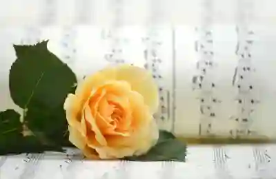 부동산 가격 차이를 이해하는 방법