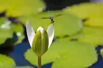 건강보험료 미납 시 불이익 살펴보기