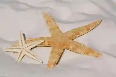 샵앤샵 악세사리 도매처 알아보자