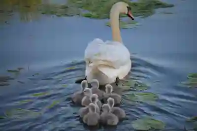 실비 청구 시 세부내역서 준비하는 꿀팁