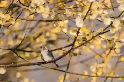 진로 정하는 꿀팁 알아보자