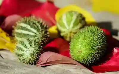 철거 후 희망리턴패키지 지원 알아보자