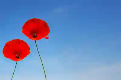 판사에서 변호사로, 다시 판사로 복귀하는 과정 살펴보기