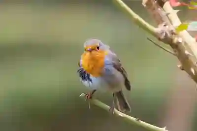 법정관리 중 M&A 신청 시 고려해야 할 사항들 살펴보기