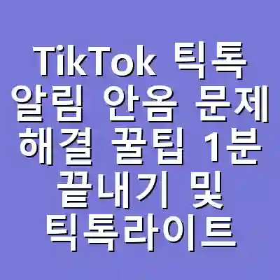 TikTok 틱톡 알림 안옴 문제 해결 꿀팁 1분 끝내기 및 틱톡라이트 수익 최적화 가이드