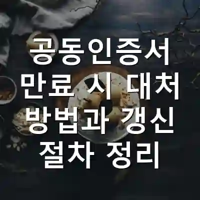 공동인증서 만료 시 대처 방법과 갱신 절차 정리