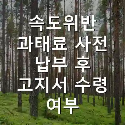 속도위반 과태료 사전 납부 후 고지서 수령 여부