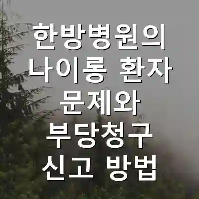 한방병원의 나이롱 환자 문제와 부당청구 신고 방법
