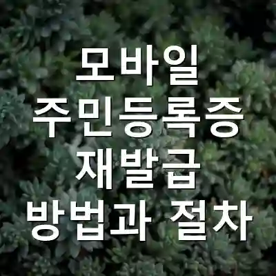 모바일 주민등록증 재발급 방법과 절차