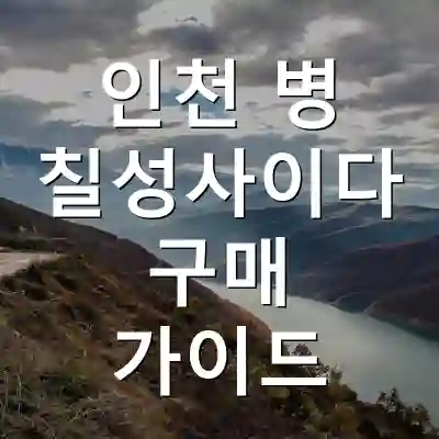 인천 병 칠성사이다 구매 가이드