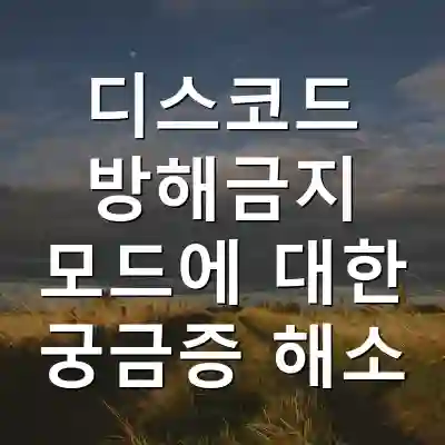 디스코드 방해금지 모드에 대한 궁금증 해소