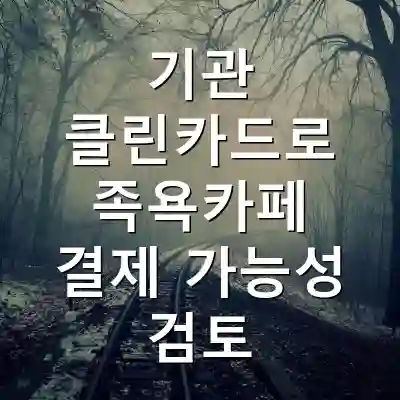 기관 클린카드로 족욕카페 결제 가능성 검토