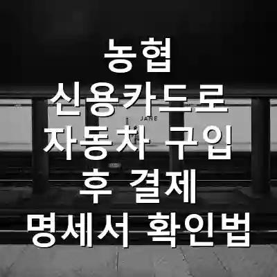 농협 신용카드로 자동차 구입 후 결제 명세서 확인법