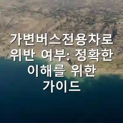가변버스전용차로 위반 여부: 정확한 이해를 위한 가이드