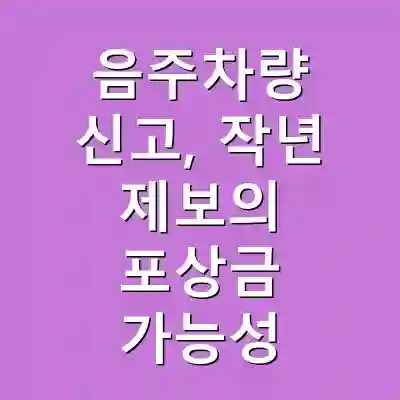 음주차량 신고, 작년 제보의 포상금 가능성