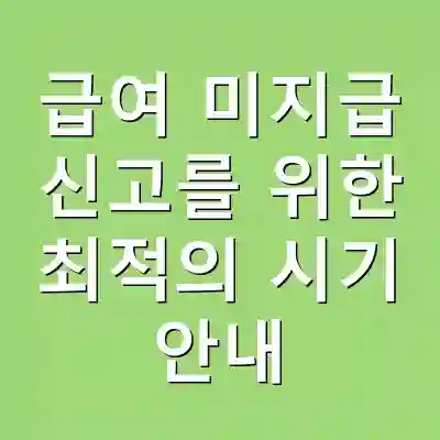 급여 미지급 신고를 위한 최적의 시기 안내