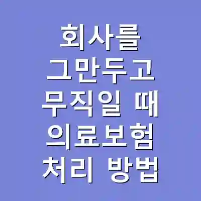 회사를 그만두고 무직일 때 의료보험 처리 방법